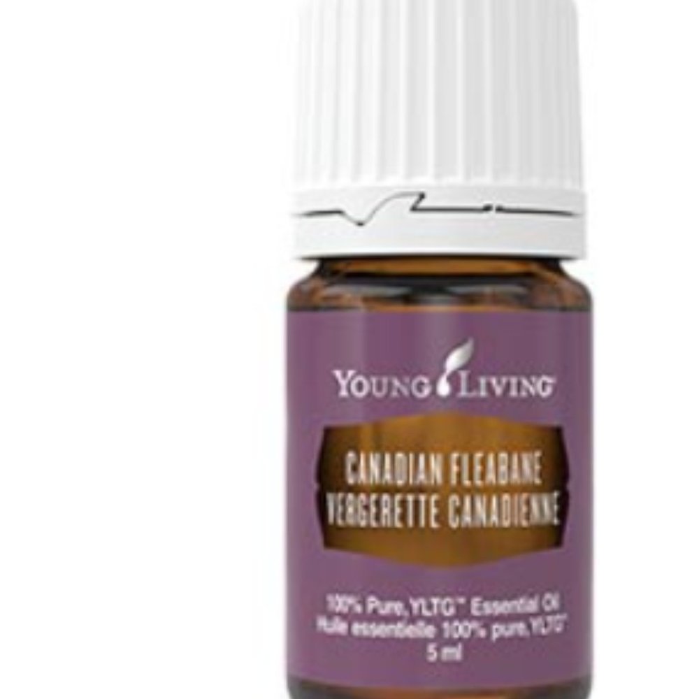Canadian Fleabane Essential Oil (5ml) Never Opened